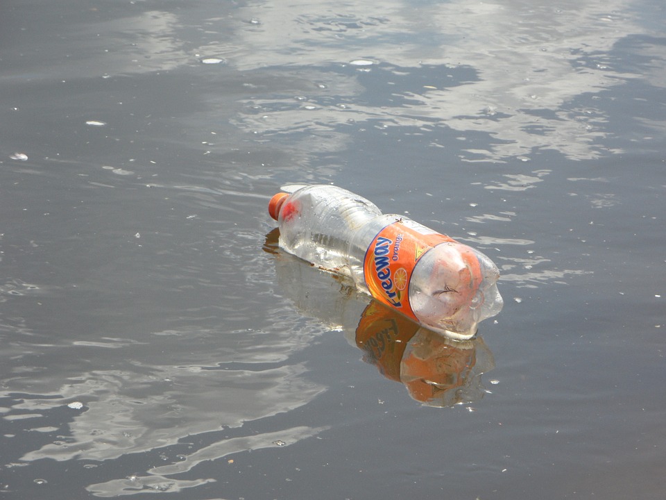 Dove finisce la tua bottiglietta di plastica?, Articoli